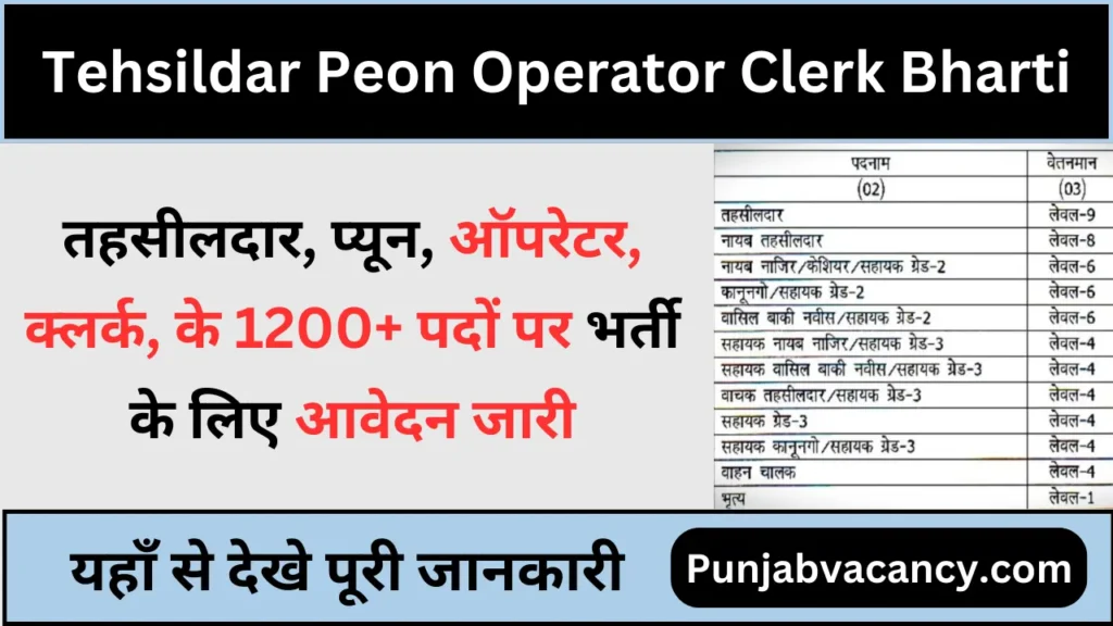 Tehsildar Clerk Peon Operator